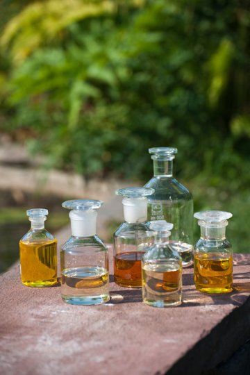 Какво трябва да знаем за растителните масла?