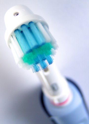 Снимка: SXC.hu