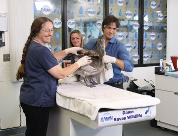 Снимка: Splash News