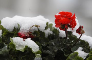 Снимка: Олег Попов, Dnes.bg