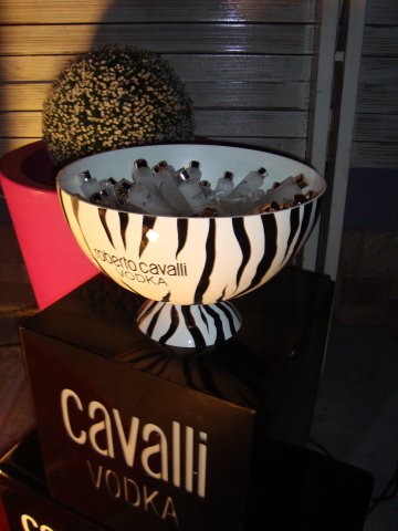 Снимка: Cavalli