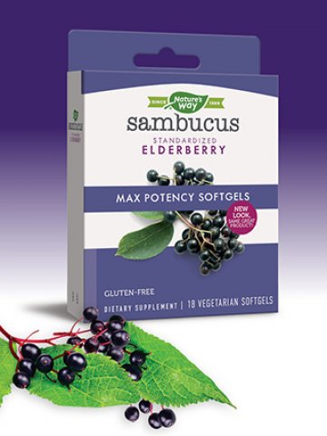 Снимка: Istockphoto