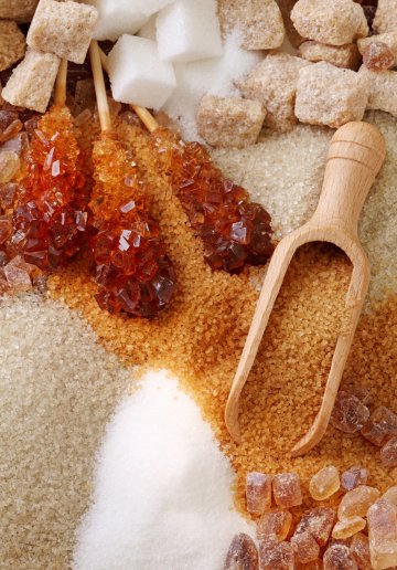 Снимка: Dreamstime