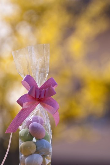 Снимка: Dreamstime