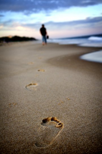 Снимка: Dreamstime