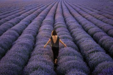 Източник: IStockphoto