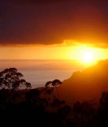 Снимка: Sxc.hu