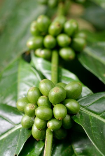 Снимка: Dreamstime