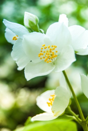 Снимка: Thinkstock