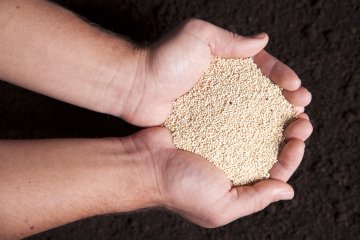 Снимка: Dreamstime