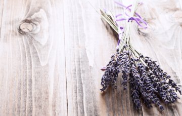 Снимка: Istockphoto