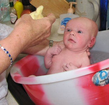 Снимка;  Flickr 