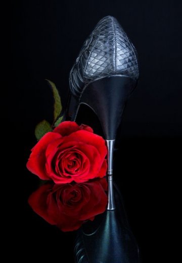 Снимка: Dreamstime