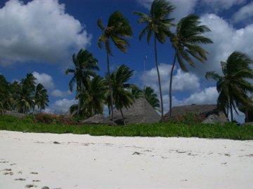 Снимка: Личен архив