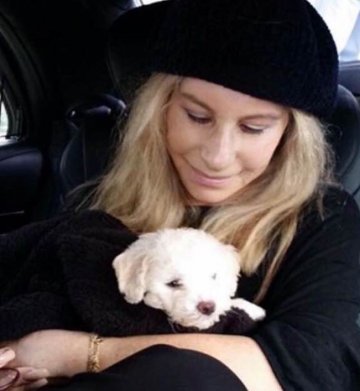 Снимка: Instagram