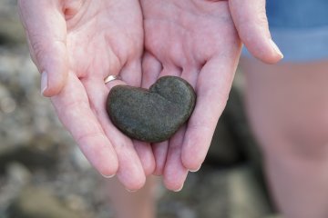 Снимка: Pixabay