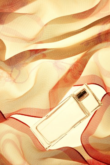 Снимка: Thinkstock