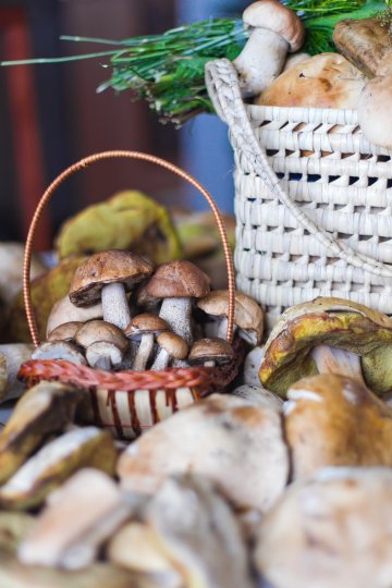 Снимка: Dreamstime