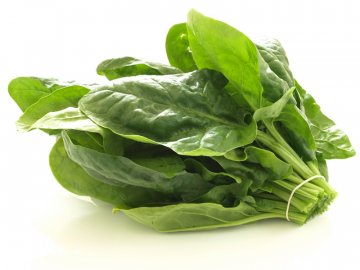 Снимка: Dreamstime
