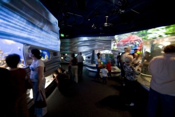 Снимка: contemporist.com