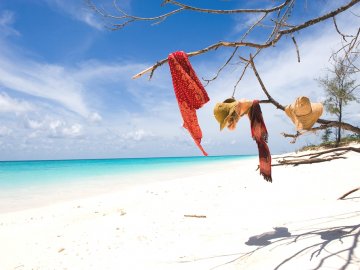 Снимка: adelto.co.uk