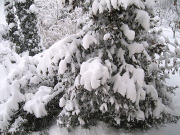 Вашата зимна приказка