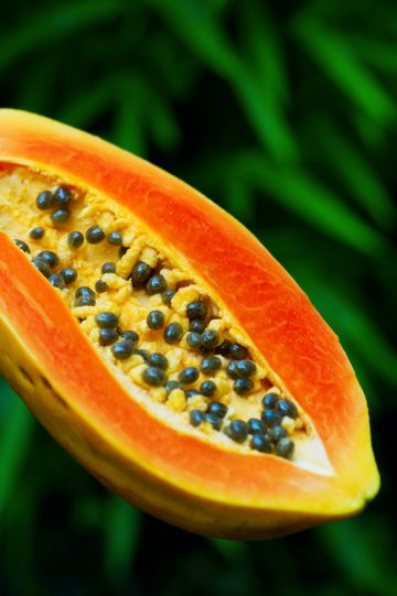 Снимка: Dreamstime