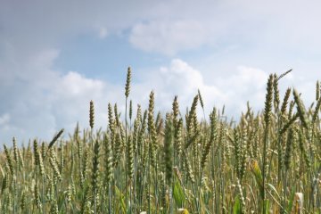 Снимка: Photl.com