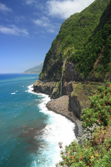 Снимка: Dreamstime