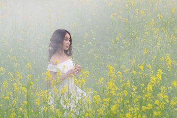 Снимка: Pixabay