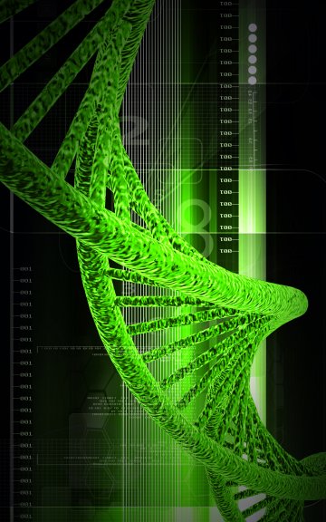 Снимка: Dreamstime