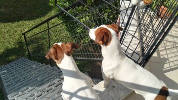 Снимка: Tialoto.bg