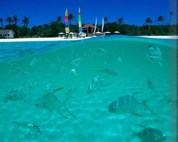 Снимка: NasamNatam.com