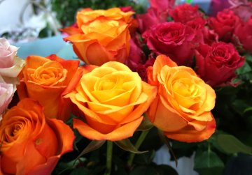 Снимка: Булфото