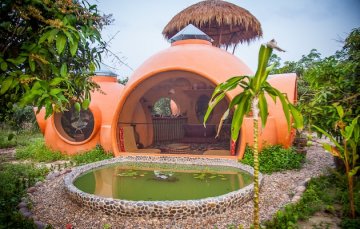 Снимка: Steve Areen