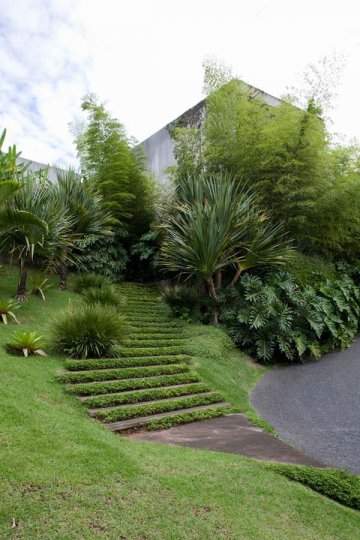 Снимка:  Pedro Useche