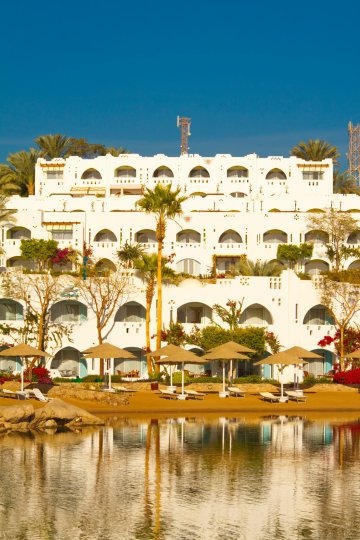 Снимка: Dreamstime