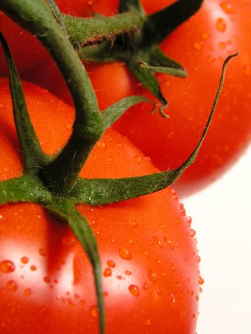 Снимка: Dreamstime