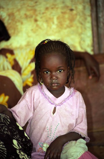 Снимка: Dreamstime