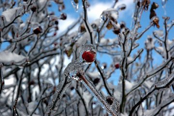 Снимка: Flickr