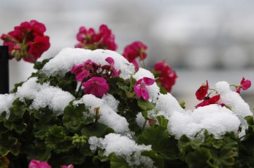 Снимка: Олег Попов, Tialoto.bg