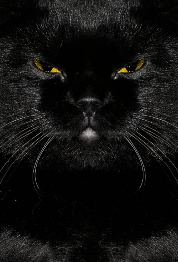 Снимка: sxc.hu