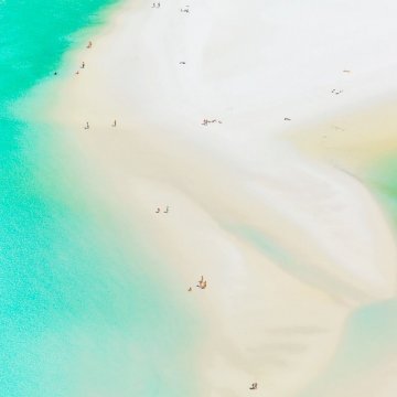 Снимка: Jon Wright