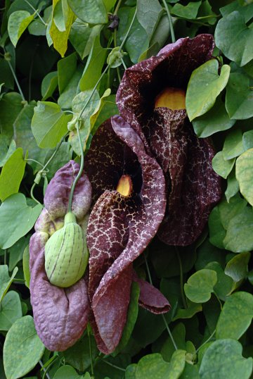 Снимка: Dreamstime