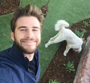 Снимка: Instagram