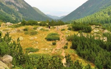 Снимки: Лъки Банско