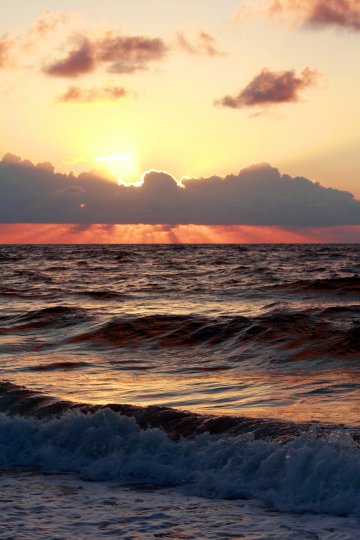 Снимка: Dreamstime