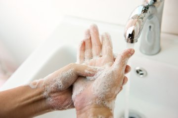 Снимка: Istock