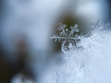 Източник: Pixabay