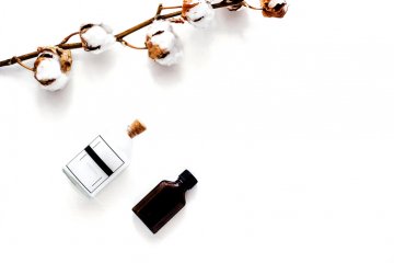 Снимка: Istockphoto